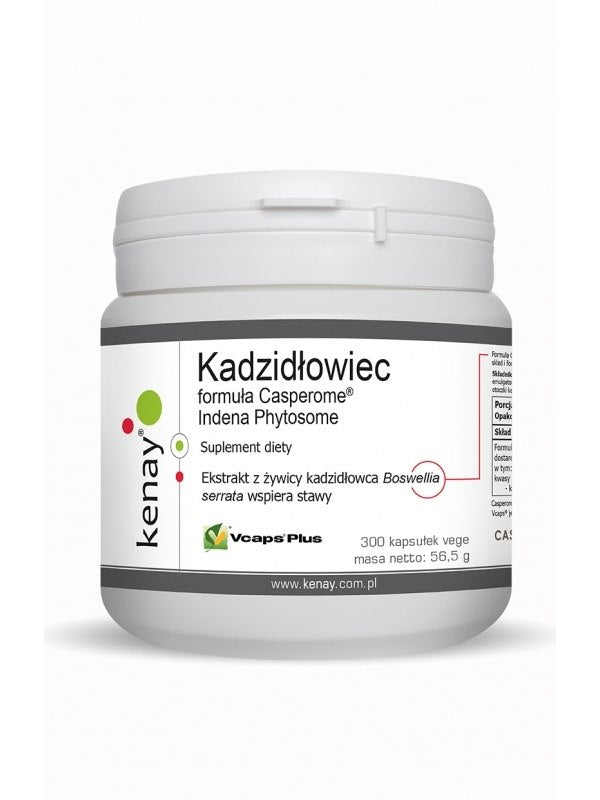 KENAY Kadzidłowiec Casperome Indena Phytosome (300 kaps.)