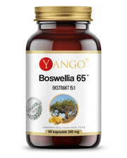 YANGO Boswellia 65 (60 kaps.)