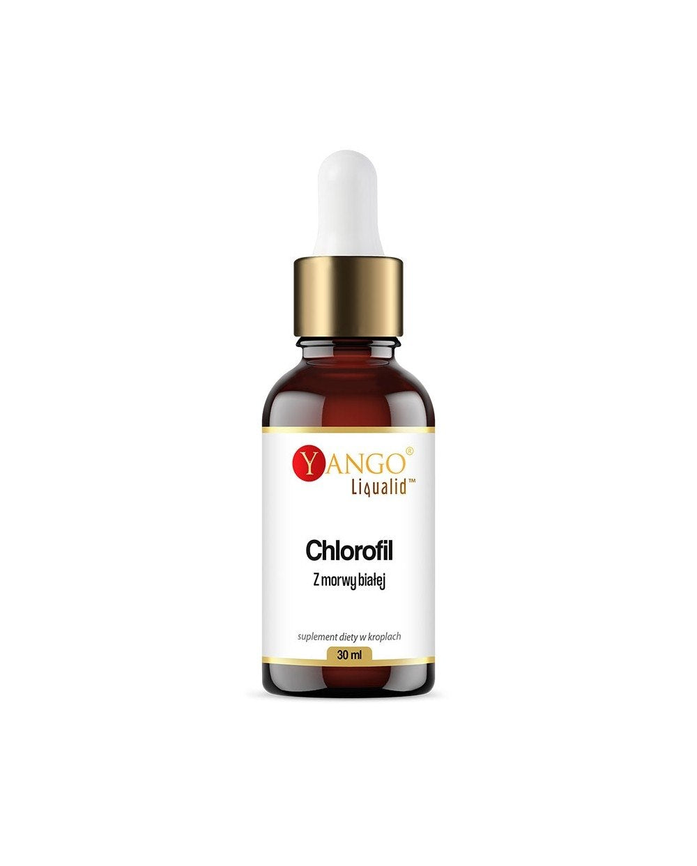 YANGO Chlorofil z morwy białej w kroplach (30 ml)