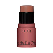 Diego Dalla Palma, All In One, Blush Stick, 44, Biscuit, 4 g