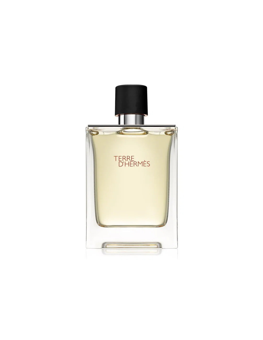Hermes, Terre d'Hermes, Eau De Toilette, For Men, 100 ml