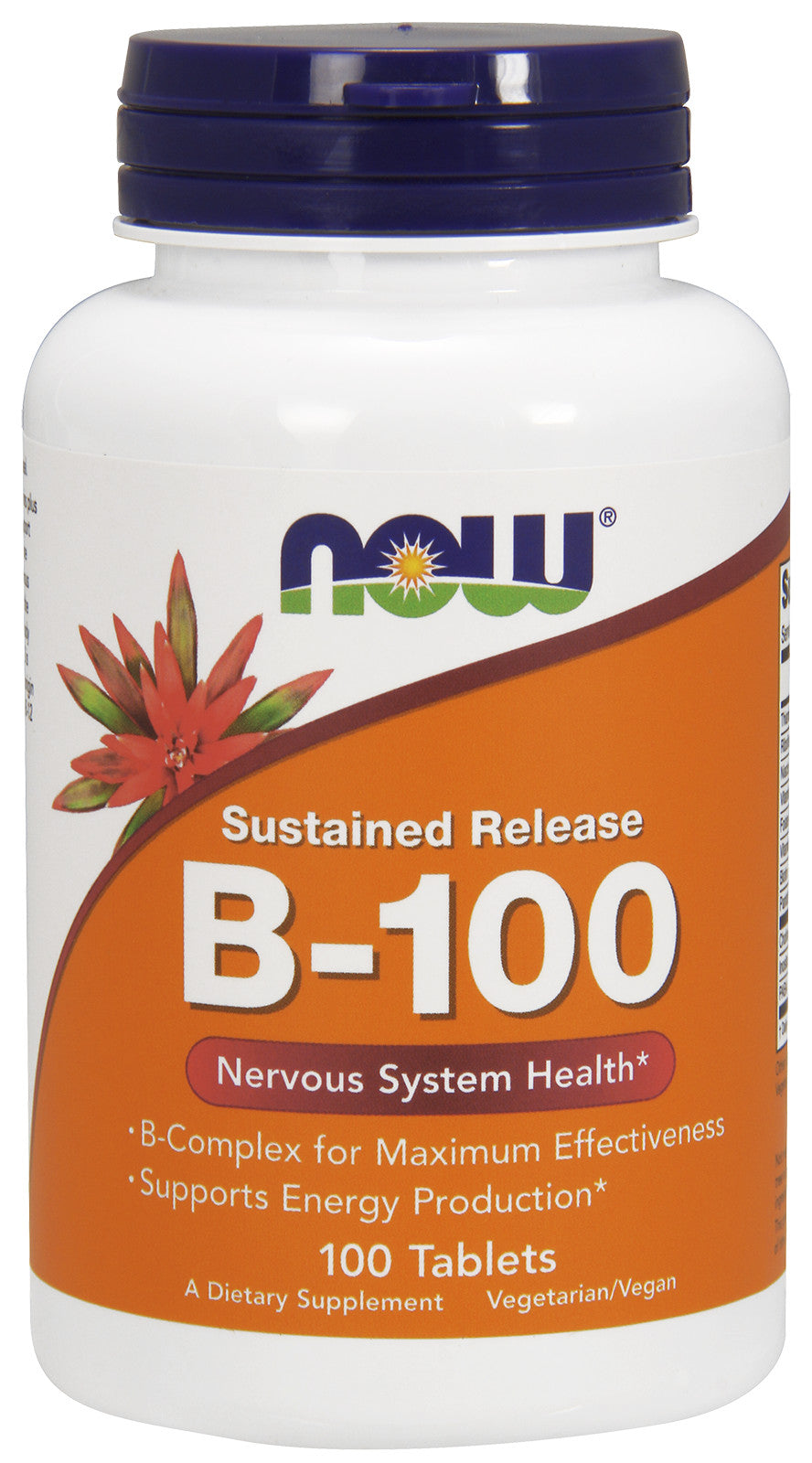 Produkto nuotrauka: NOW Foods Vitamin B-100 Sustained Release - 100 tablečių