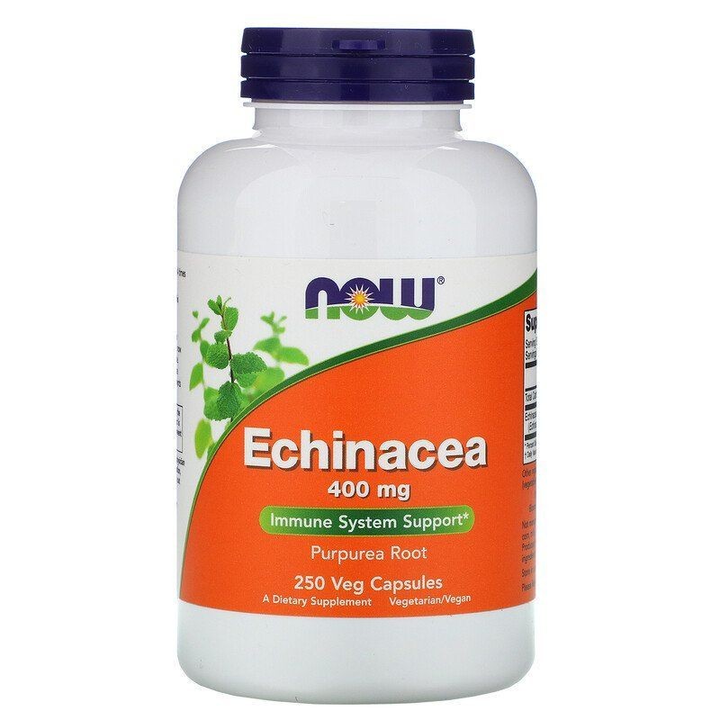 NOW FOODS ežiuolė 400 mg – 250 kapsulių